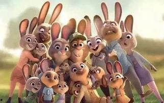 娱乐吃瓜兔子视频在线观看