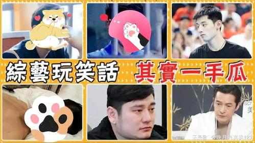 娱乐圈吃瓜有迹可循,追踪明星动态的秘诀